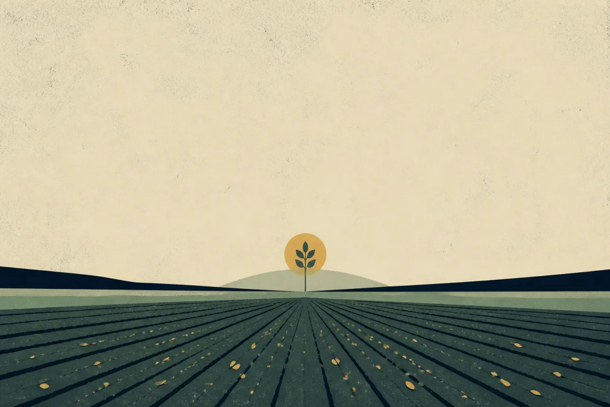 Ilustração em estilo gráfico: sementes espalhadas sobre terra arada, em tons de verde musgo e verde salvia.