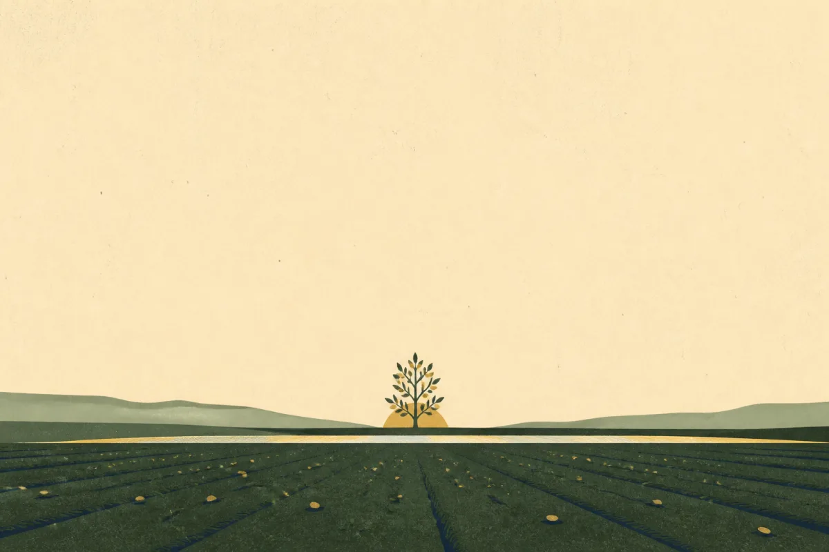 Ilustração em estilo gráfico: sementes espalhadas sobre terra arada, em tons de verde musgo e verde salvia.
