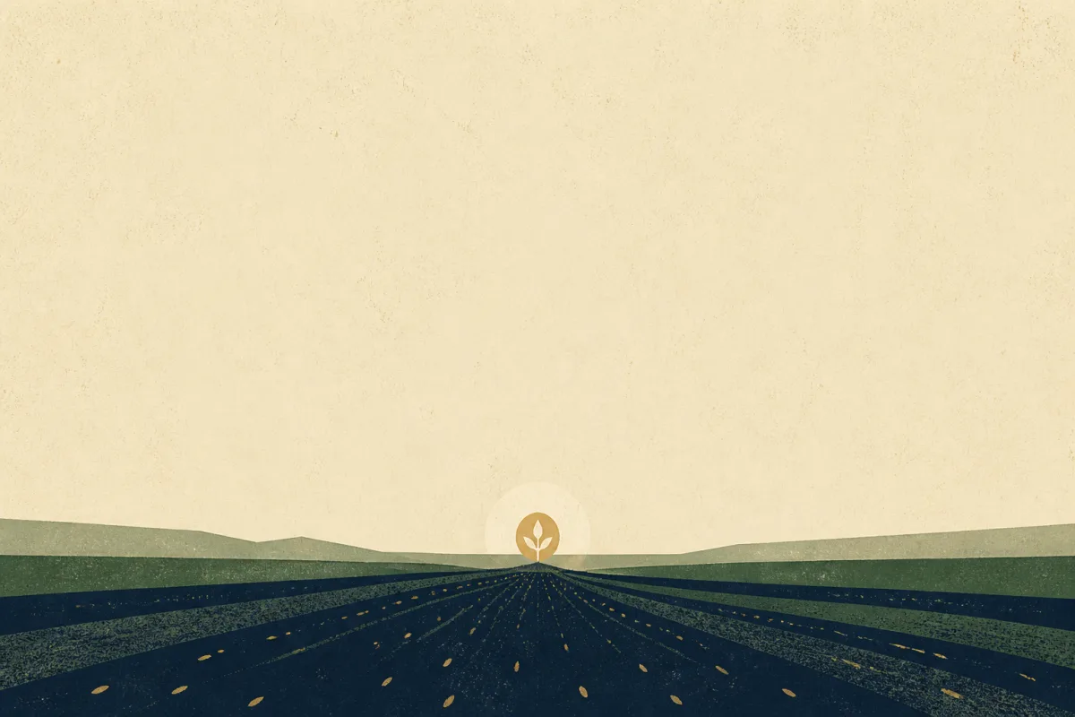 Ilustração em estilo gráfico: sementes espalhadas sobre terra arada, em tons de verde musgo e verde salvia.