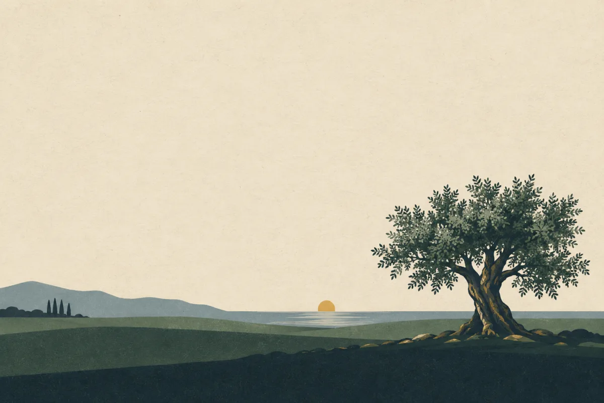 Ilustração em estilo gráfico: uma oliveira madura com tronco retorcido, em tons de verde musgo e verde salvia.
